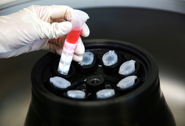 SPL Snap Tube 離心小管, Conical Bottom, PP, 5ml, RCF 25000xg, Sterile to SAL 10-6 50105 - 商品圖 3